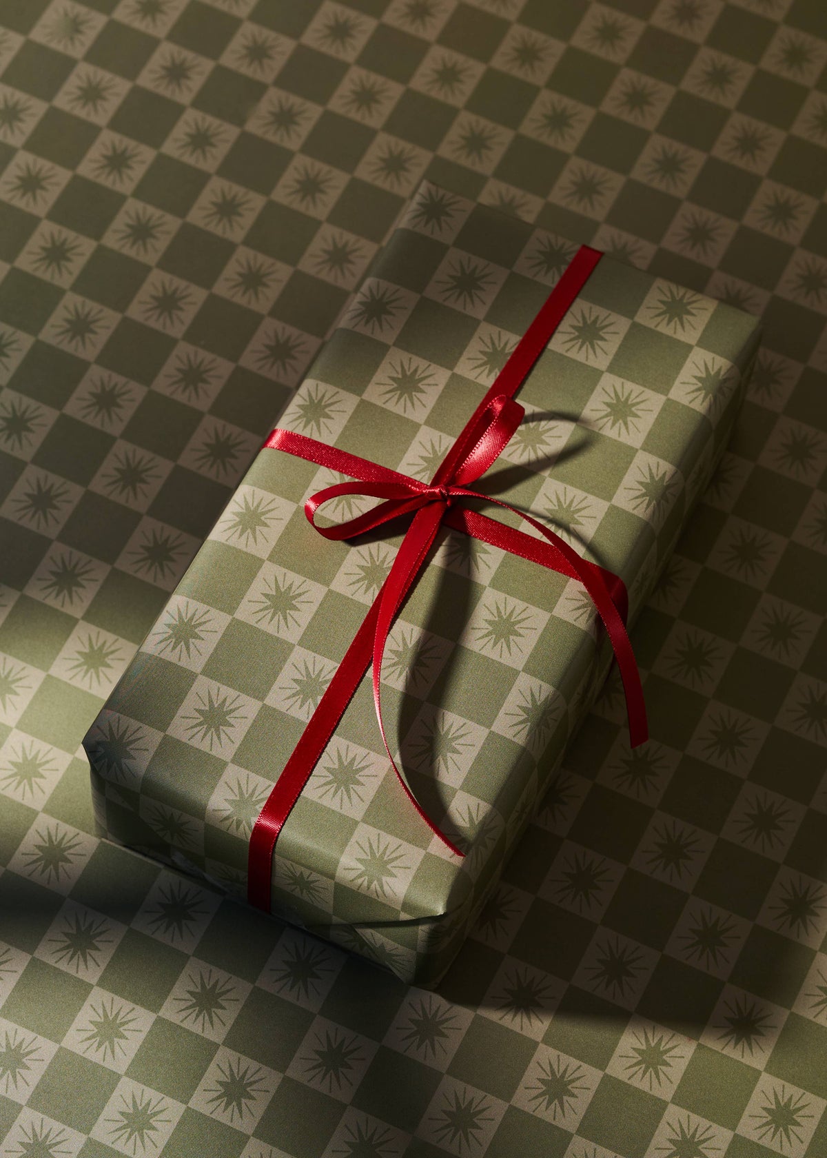 Dalmatian and Star Checked Double Sided Gift Wrap | 3 Sheets