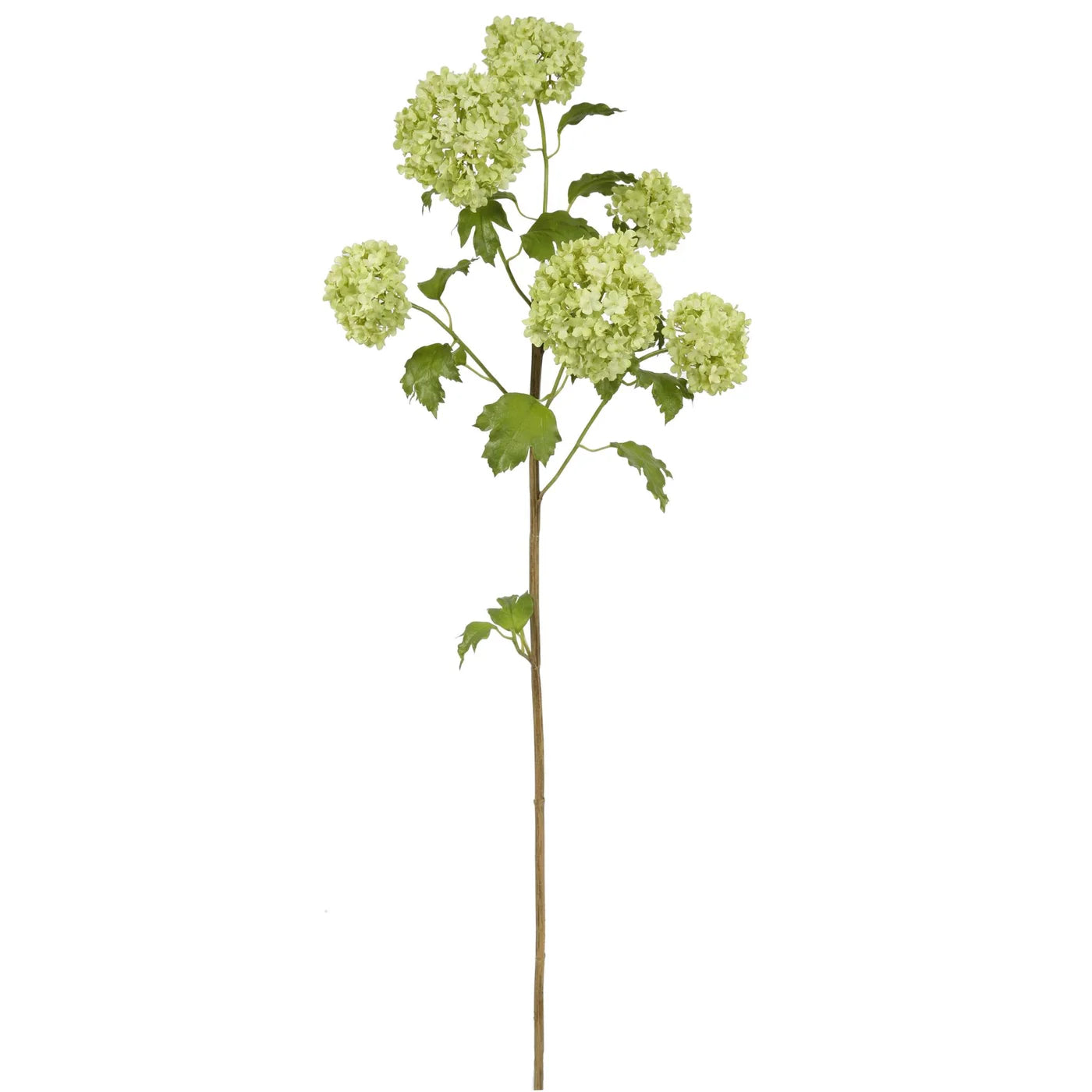 Snowball- Green