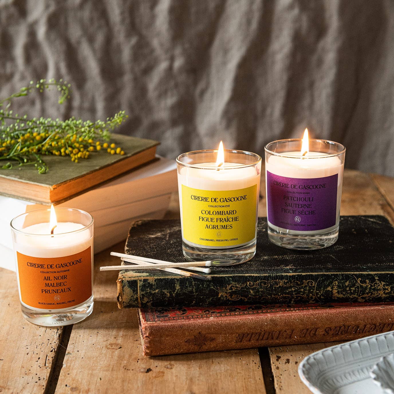 Colombard, Fresh Fig, Citrus Blend Candle