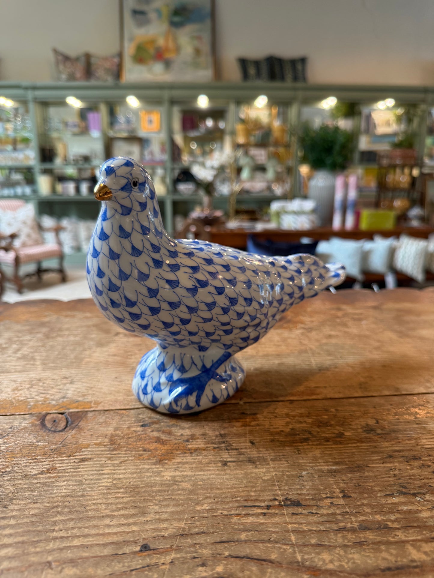 Blue and White Pigeon