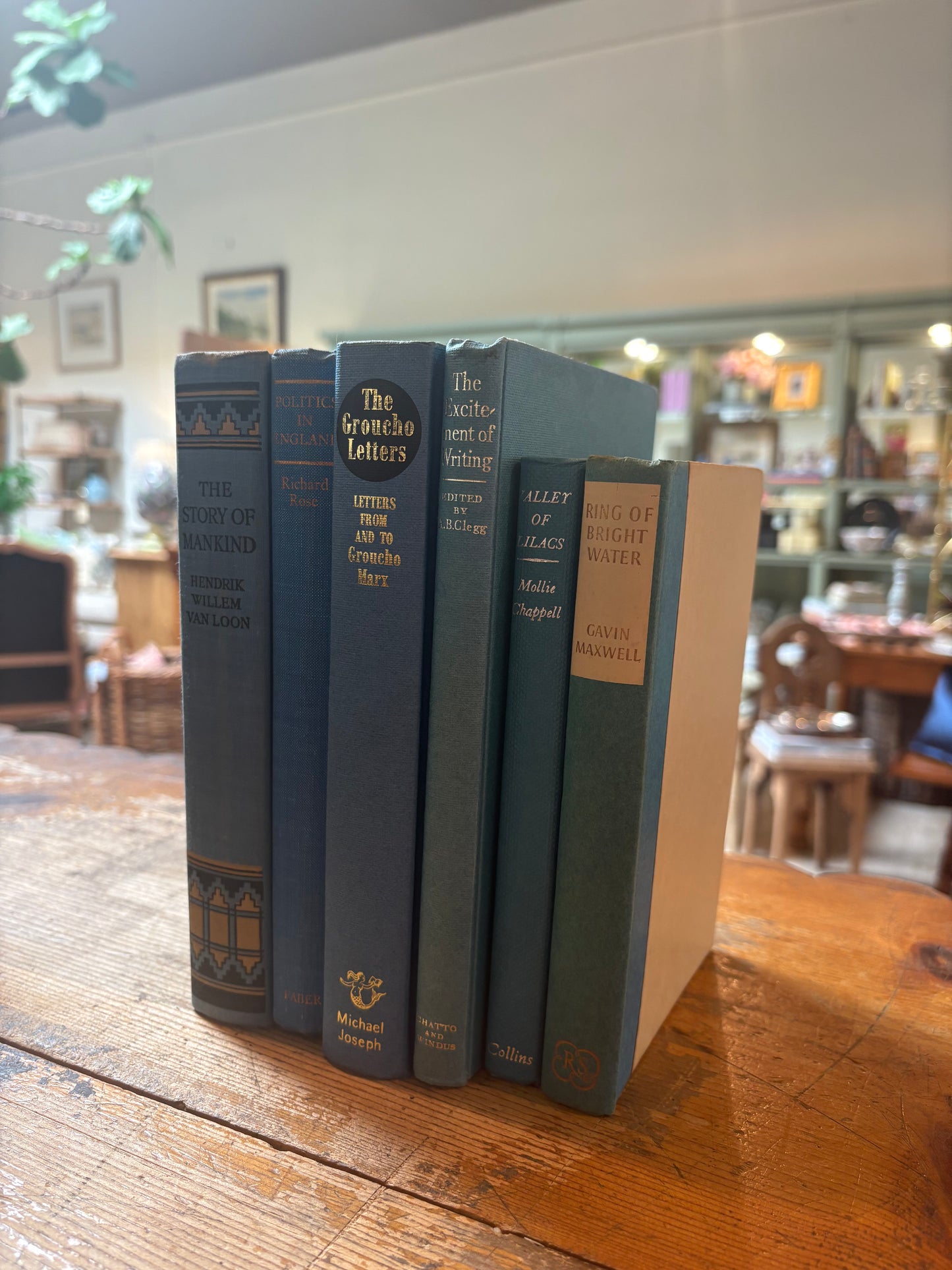 Blue Book