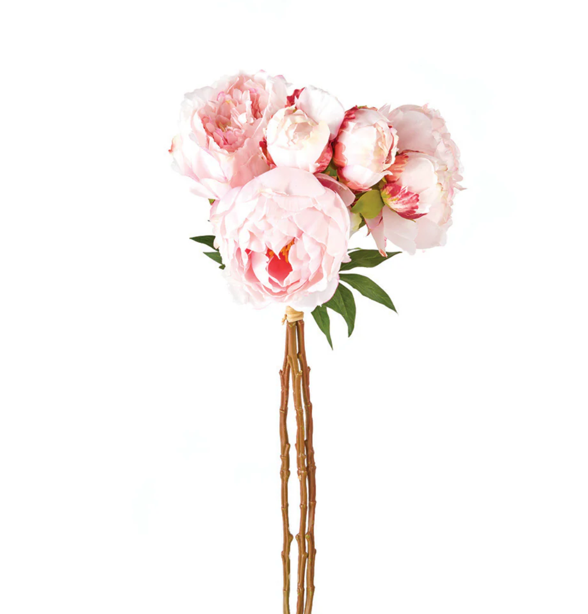Pink Peonies