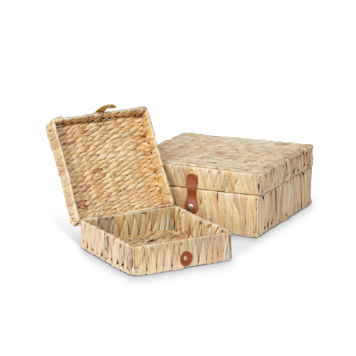 Island Palm Decorative Boxes