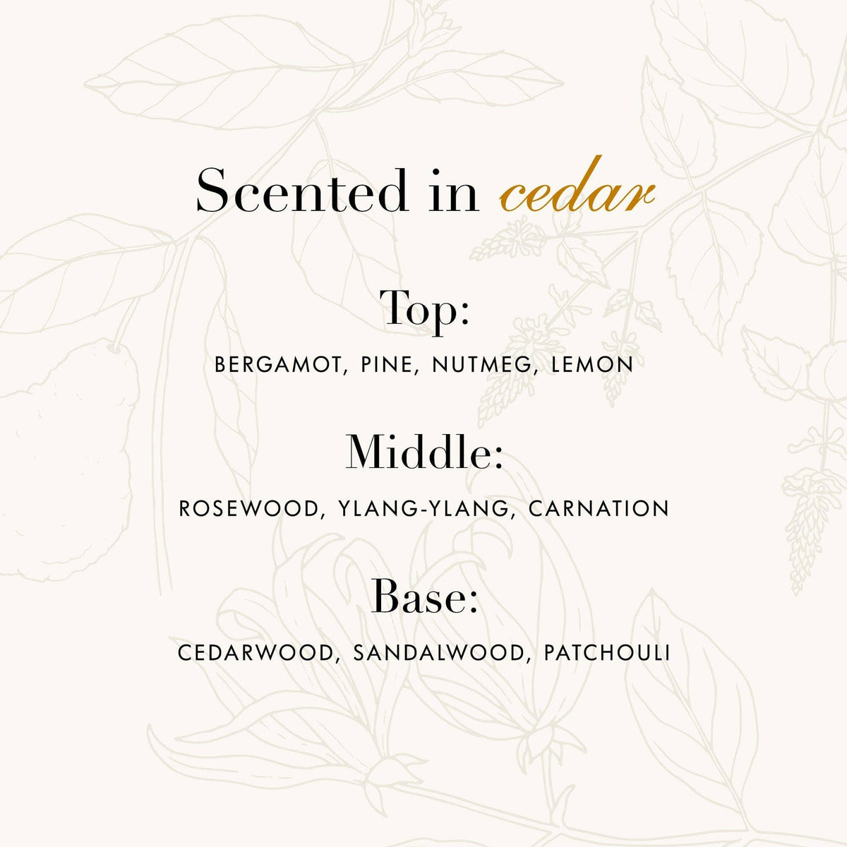 Wool & Cashmere Spray