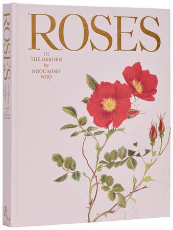 Roses In The Garden