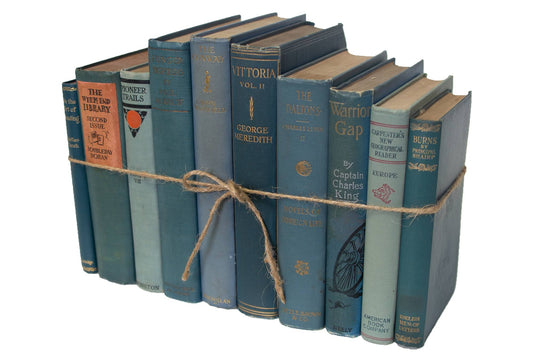 Decorative Blue Book Bundle - Vintage Marlin