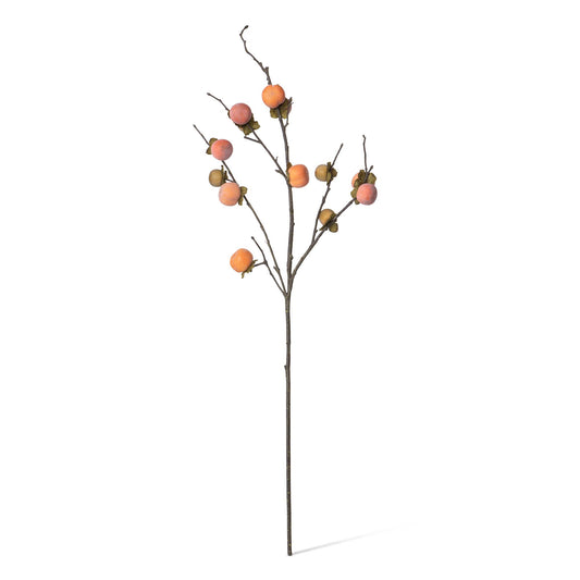 Persimmon Branch