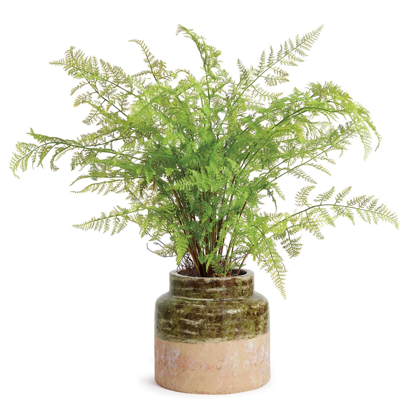 Faro Jar Large