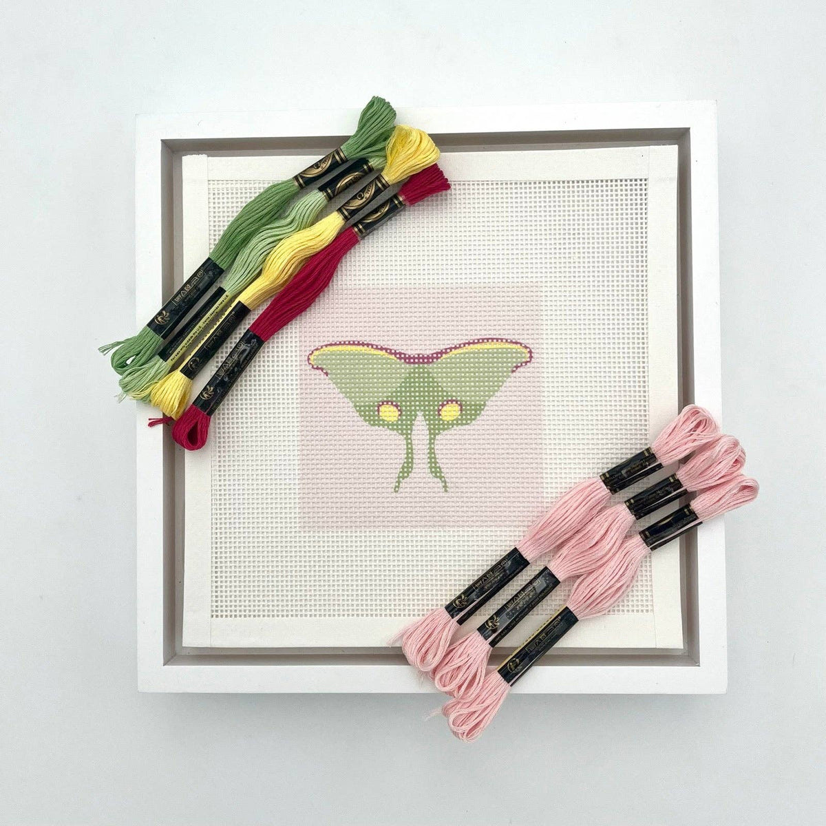 Luna Moth Pink Needlepoint Design