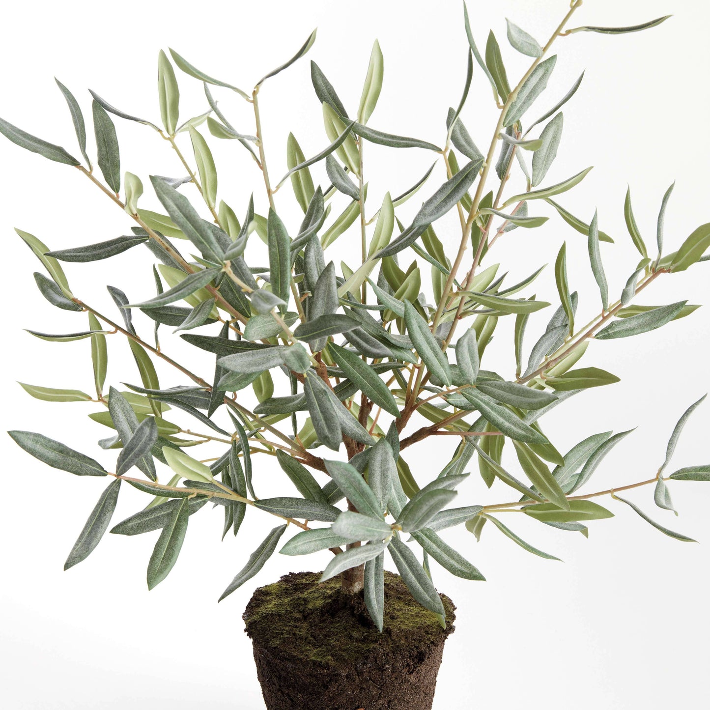 OLIVE TREE DROP-IN 26"