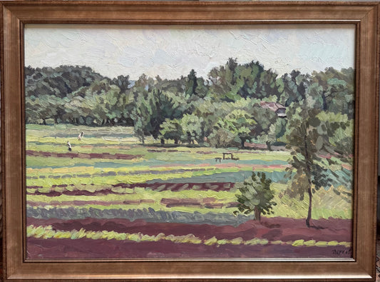 Field Landscape Art