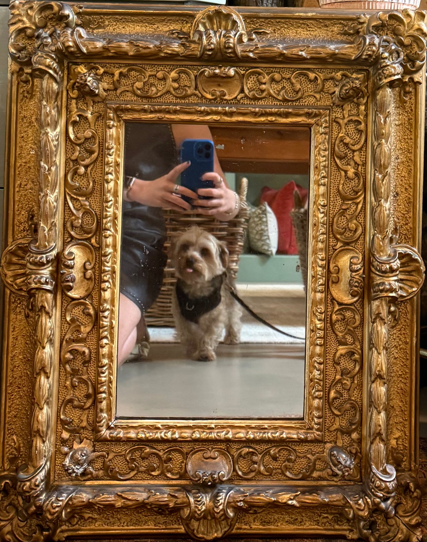 Antique French Detailed Gilt Mirror