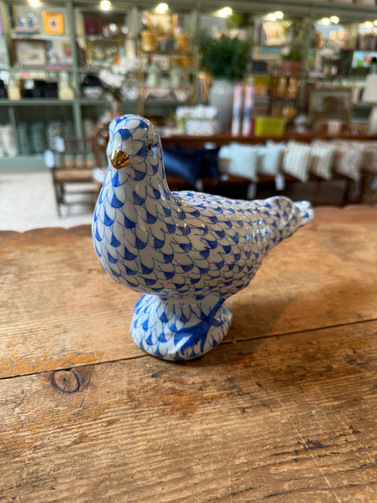 Blue and White Pigeon