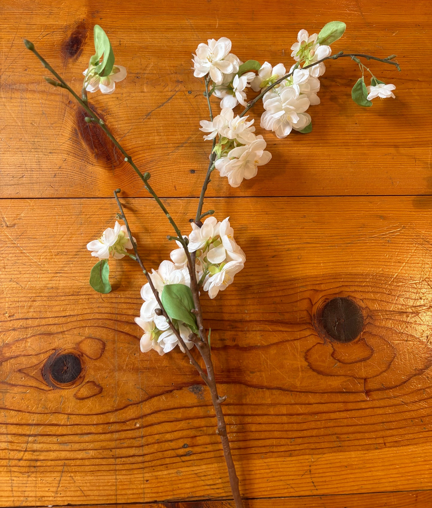 White Floral Stem