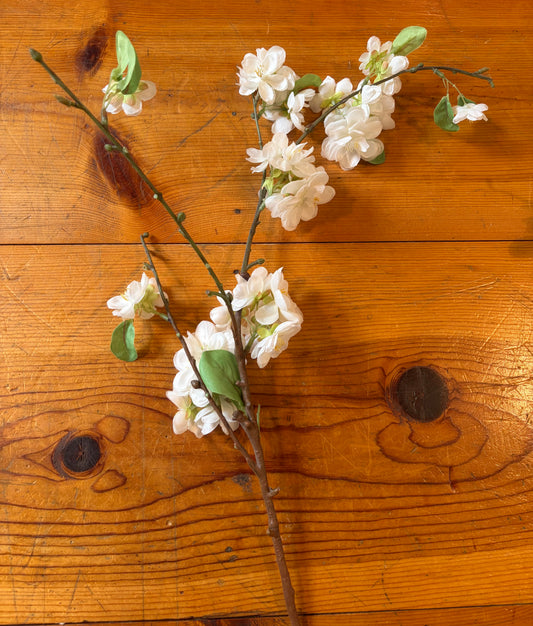 White Floral Stem