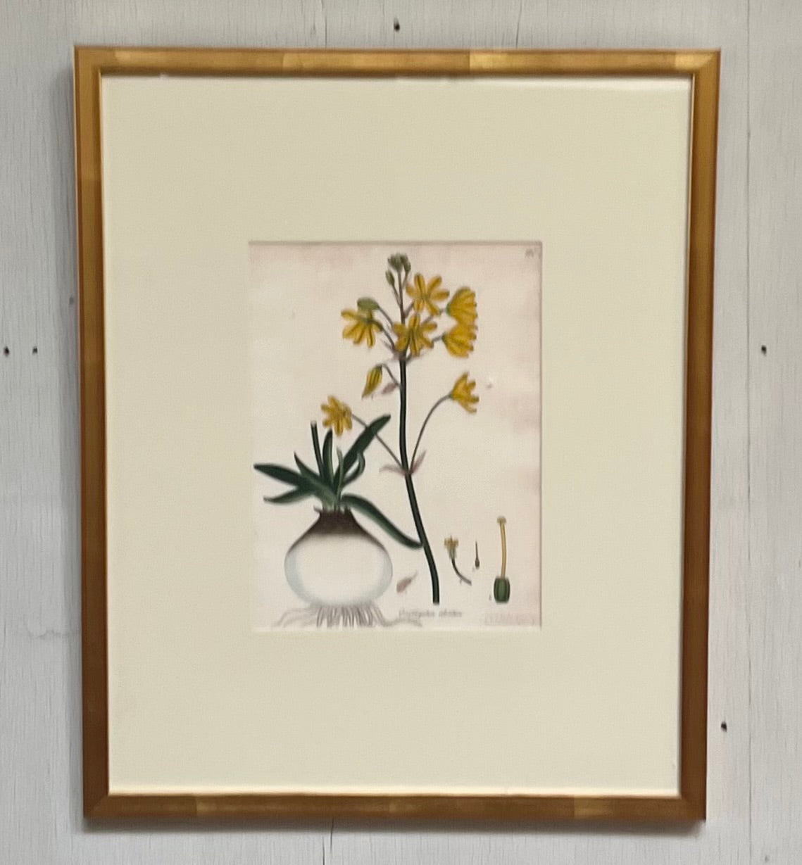 Spring Flower Art
