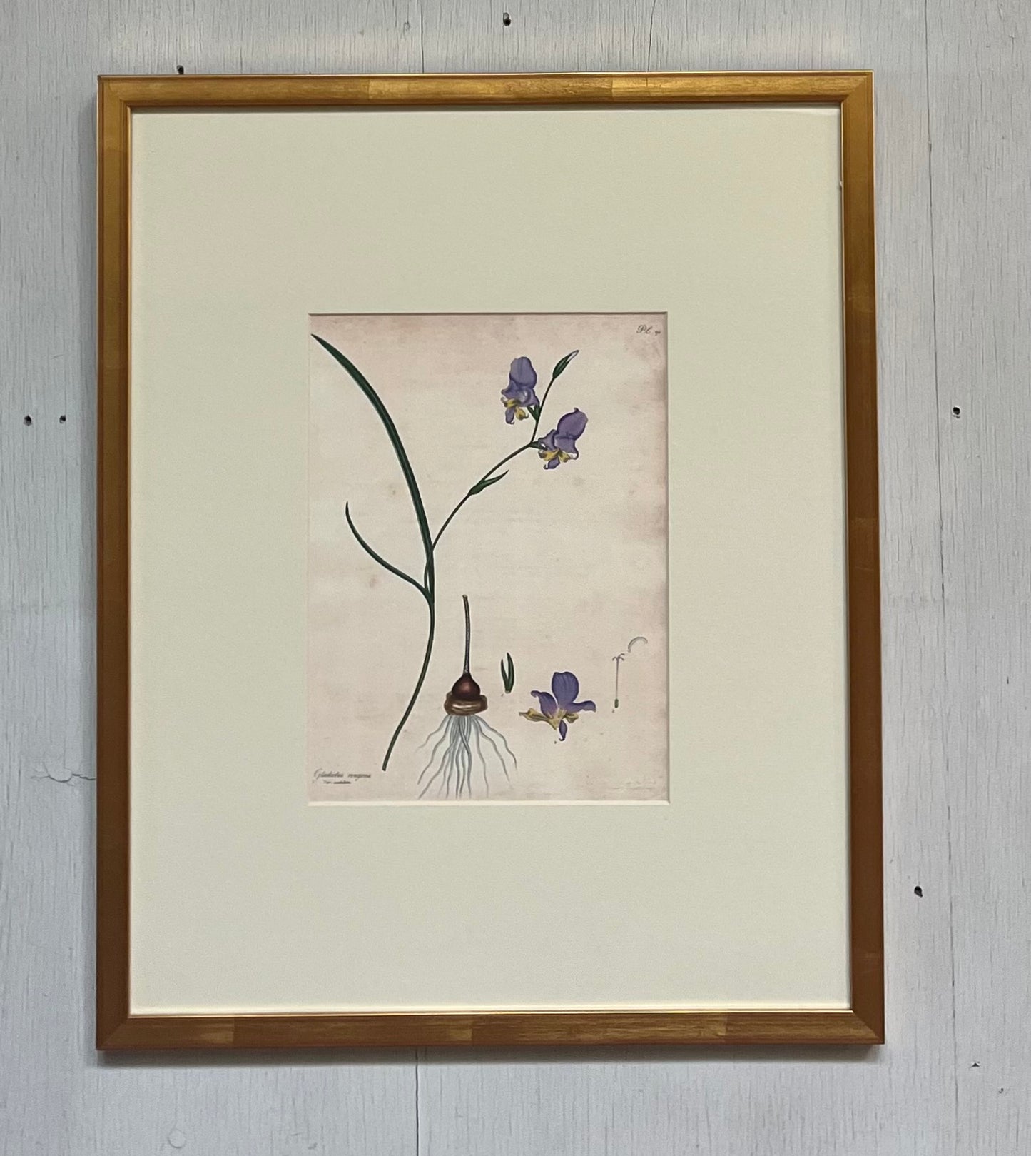 Spring Flower Art