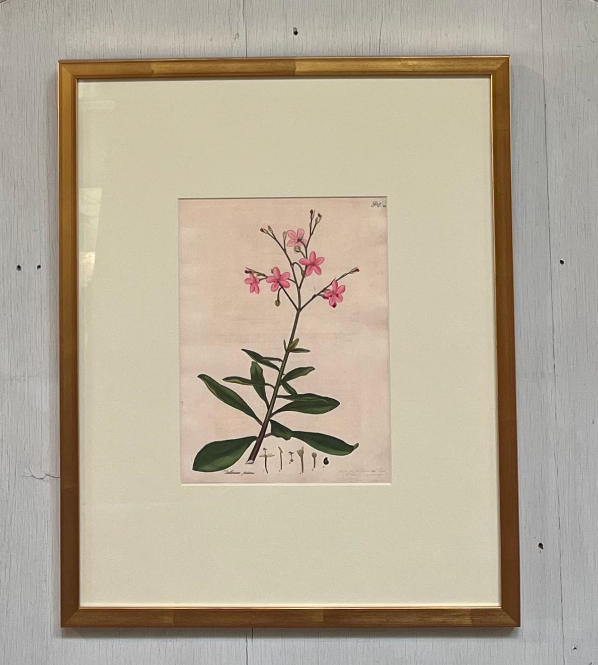 Spring Flower Art