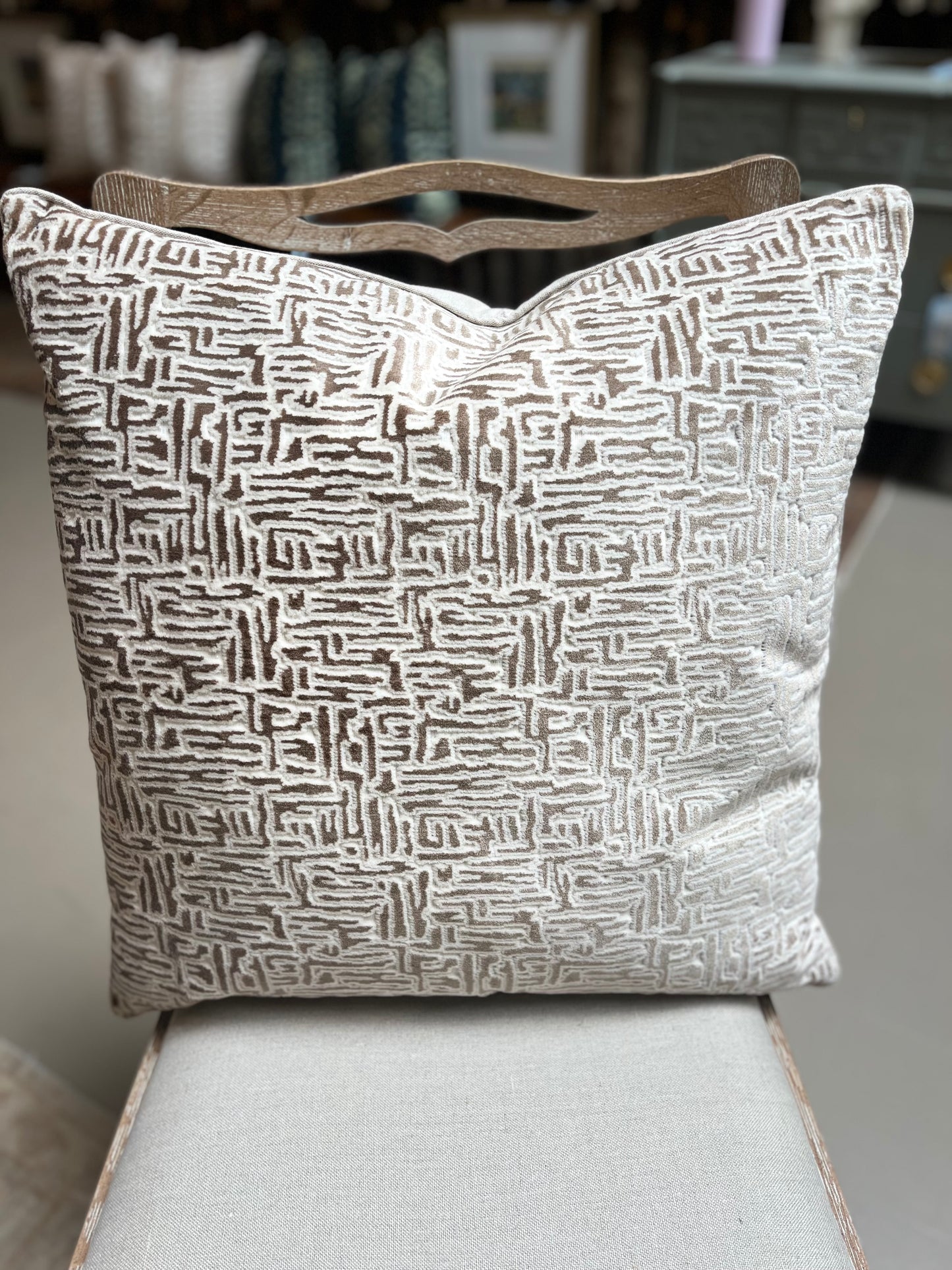 Adler Cocoa Velvet 22" Pillow