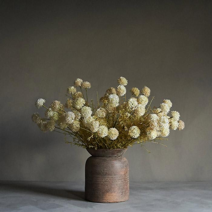 MELALEUCA CREAM STEM