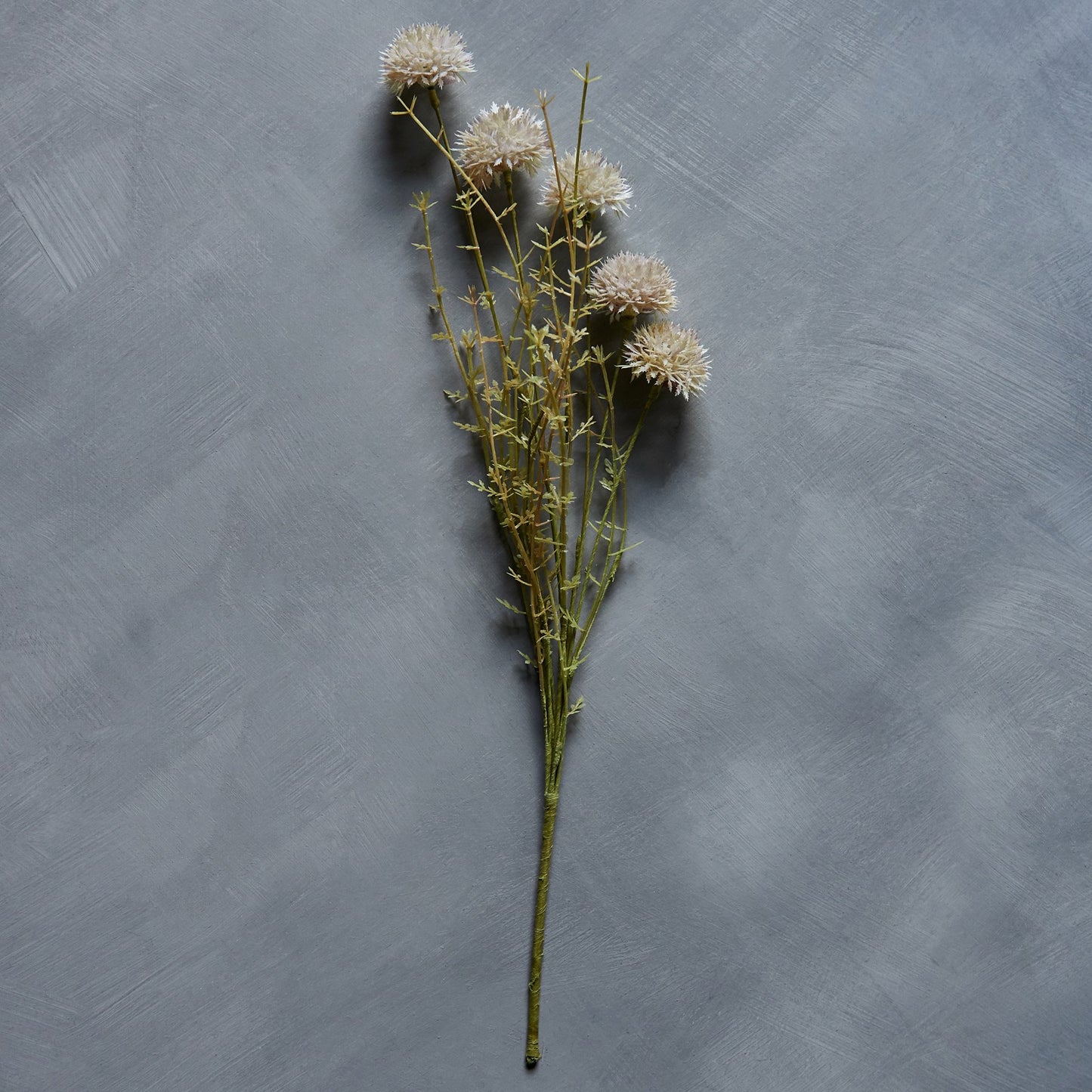 MELALEUCA CREAM STEM