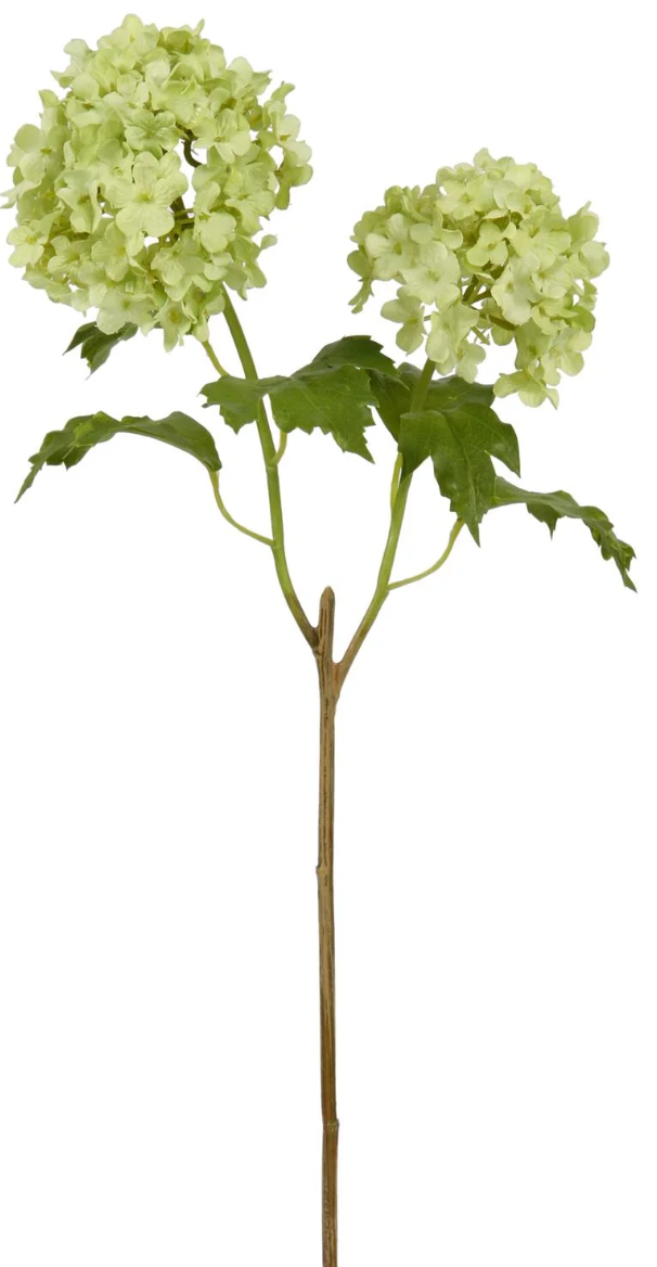Snowball Stem Green