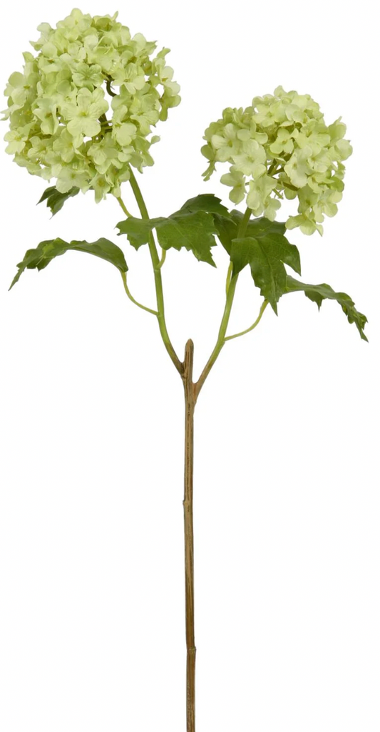 Snowball Stem Green