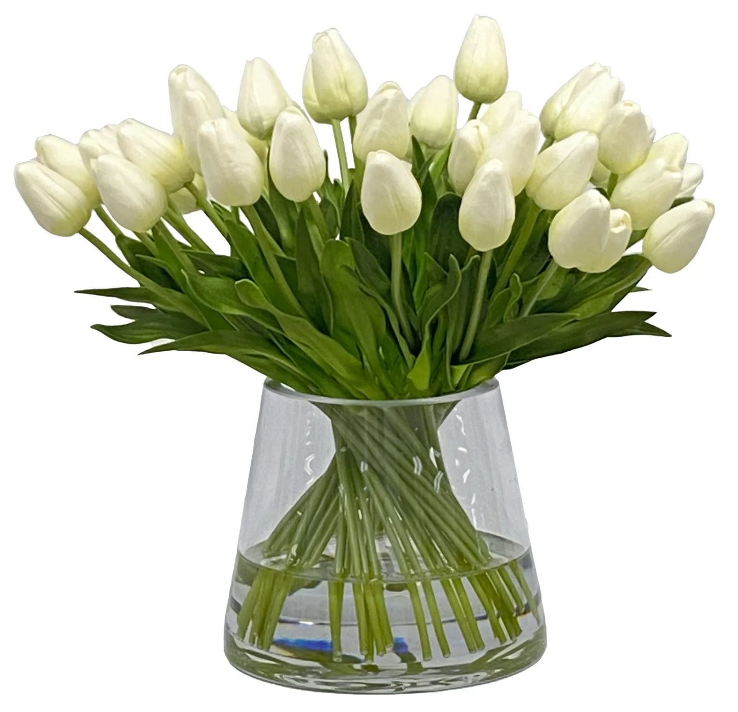 Tulip in Vase