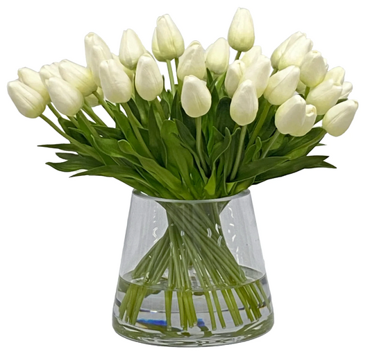 Tulip in Vase