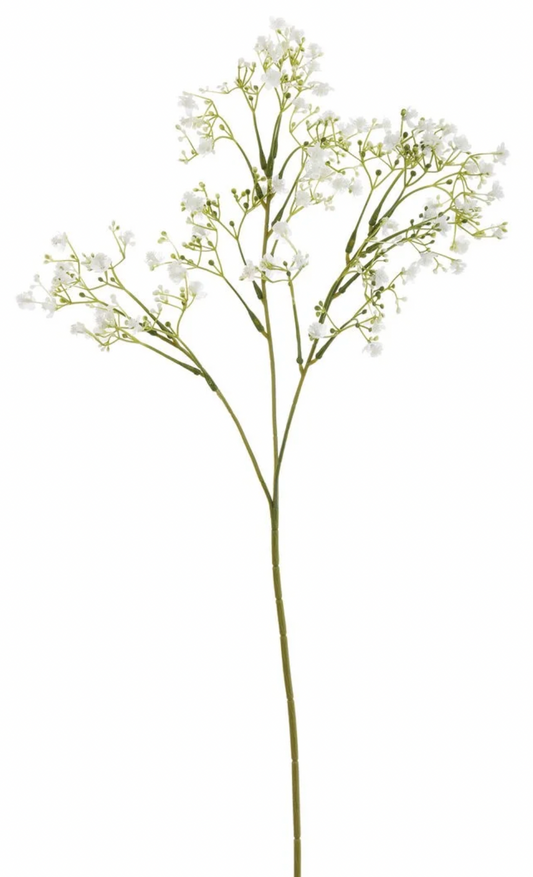 Gypsophila Spray Branch