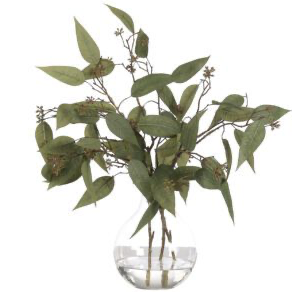 Eucalyptus, Faux Watergarden, 18"