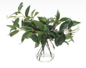 Eucalyptus, Faux Watergarden, 18"
