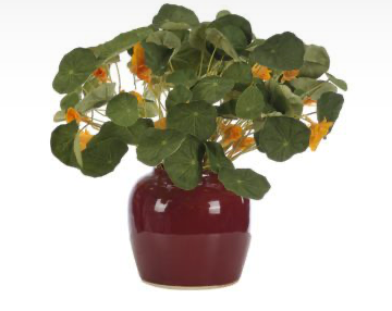 Nasturtium, Faux Watergarden, 17"