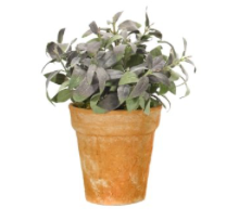 Herb Sage, Faux Greenery, 12"