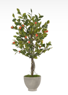 Kumquat Tree, Faux Greenery, 47"
