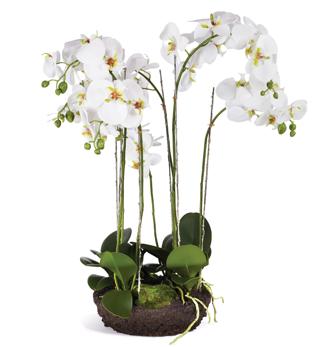 PHALAENOPSIS BOWL DROP-IN  31.5"
