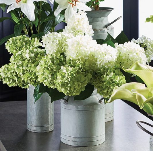 Cone Hydrangea Stem