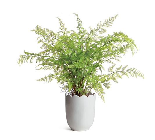 Mirabelle Scalloped Edge Cachpot