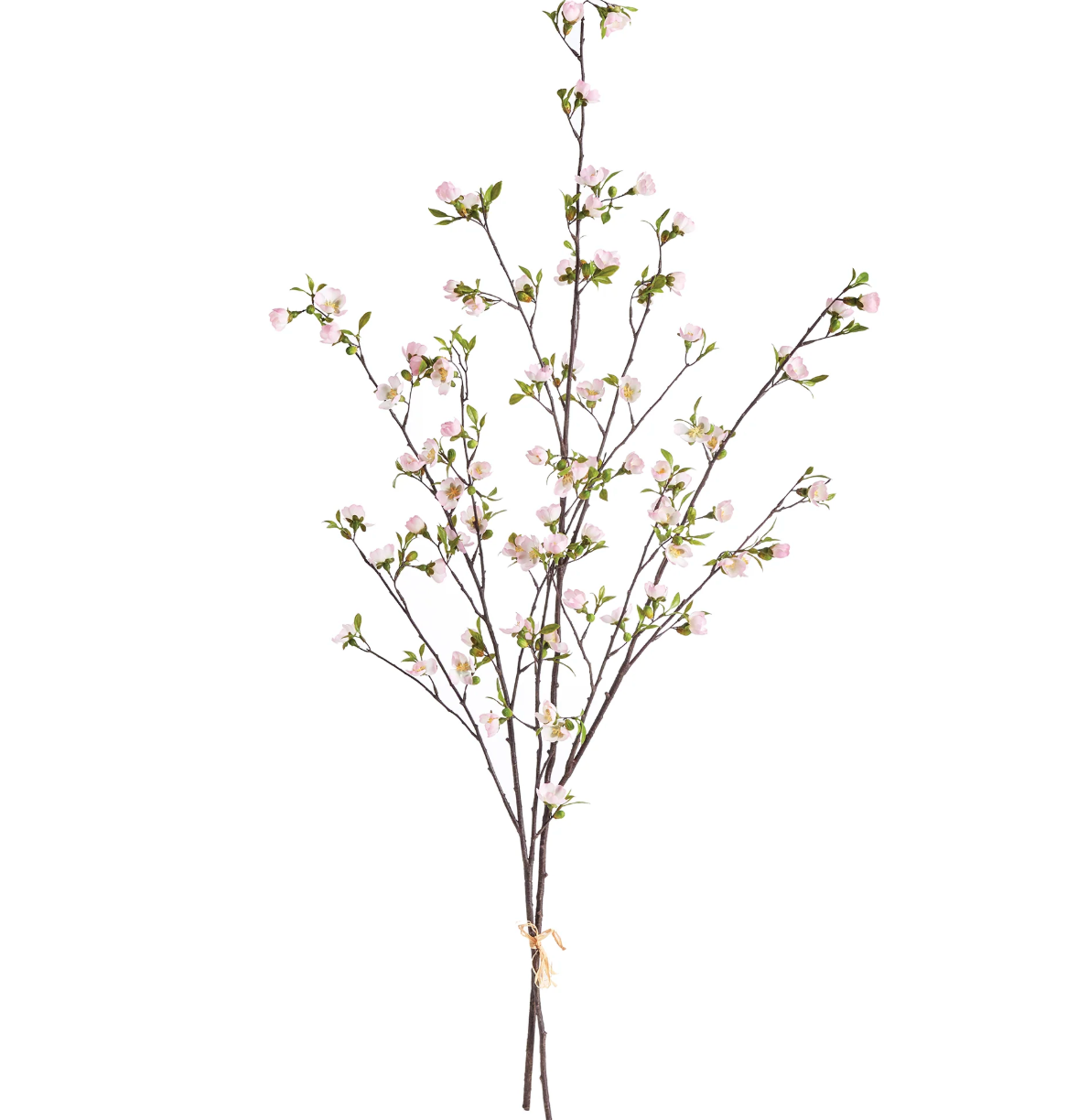 CHERRY BLOSSOM BRANCHES BUNDLE/2 PINK