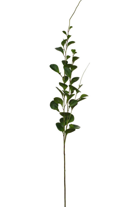 Wax Foliage Branch
