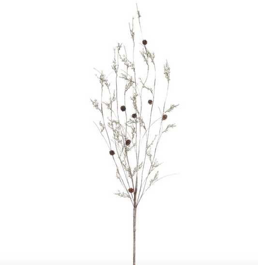 Twig Cedar Branch