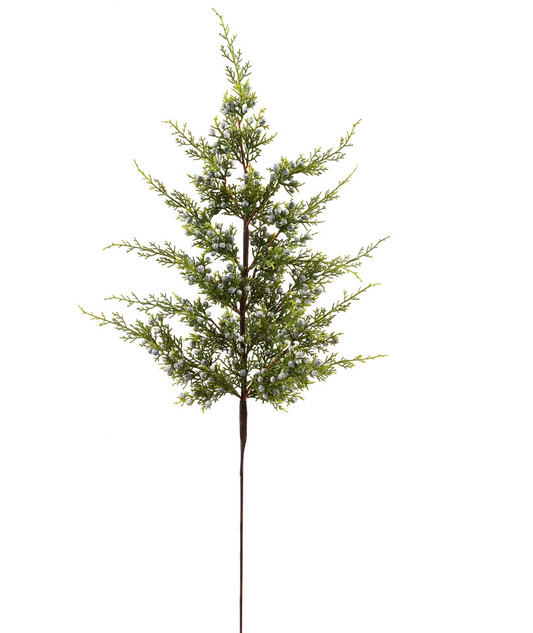 Juniper Berry Branch