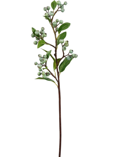Winter Berry Stem