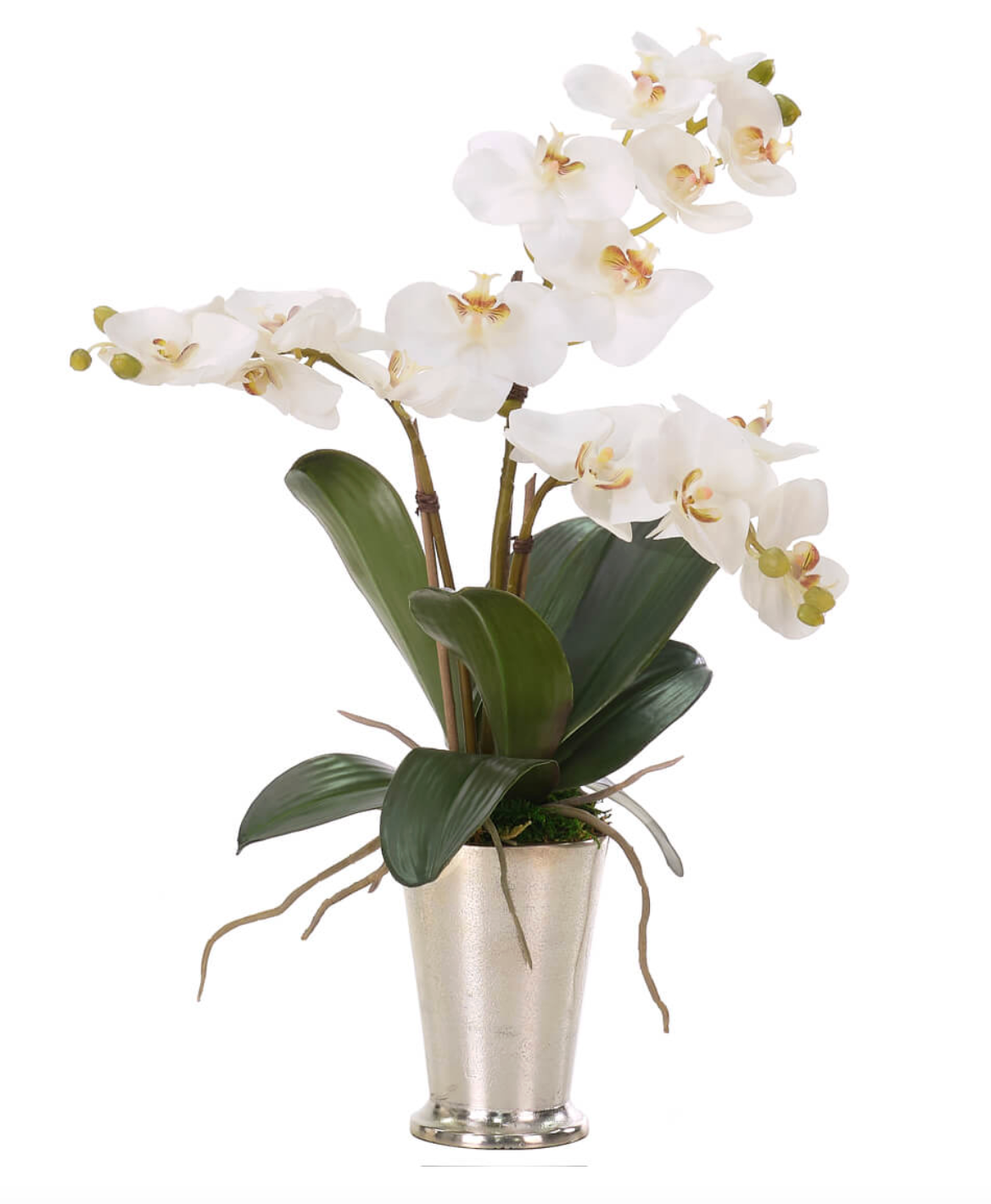 White Phalaenopsis Orchid, Faux Arrangement, 23"