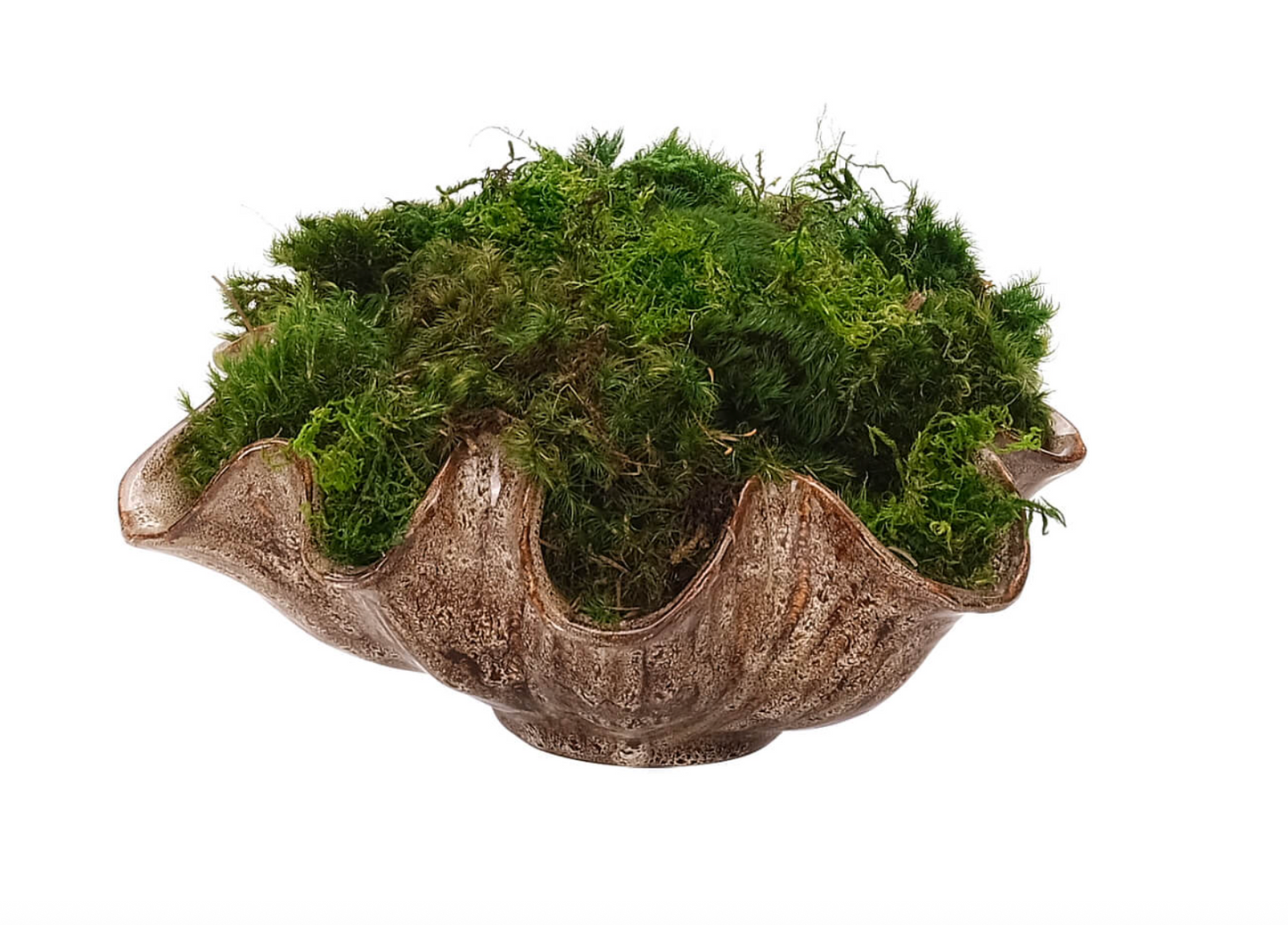 Moss Mound, Faux Arrangement, 5.5"