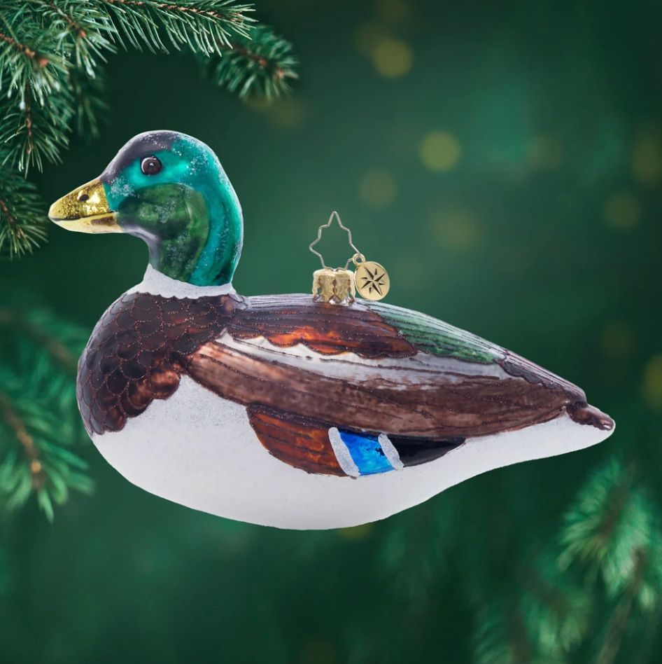 Majestic Mallard