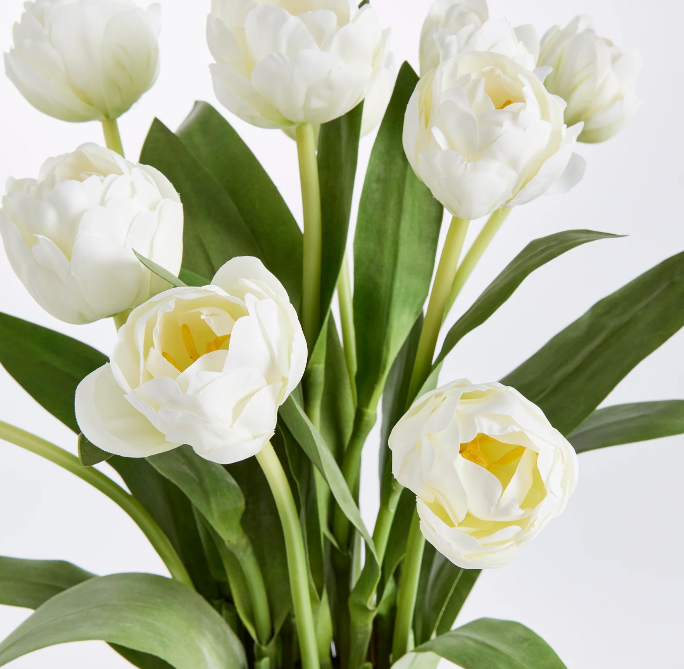 Peony Tulip Bundle Drop-in