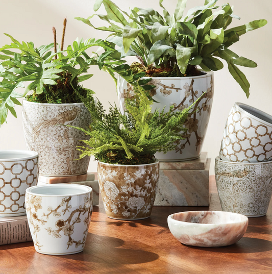 Province Midi Pots