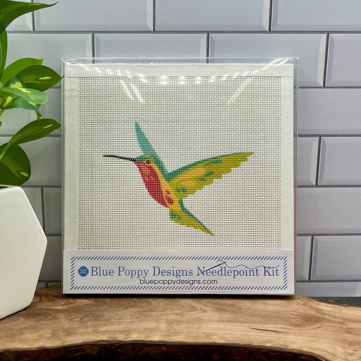 Red Bellied Hummingbird Needlepoint Design