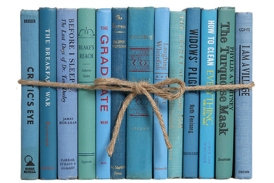 Decorative Blue Book Bundle - Vintage Island
